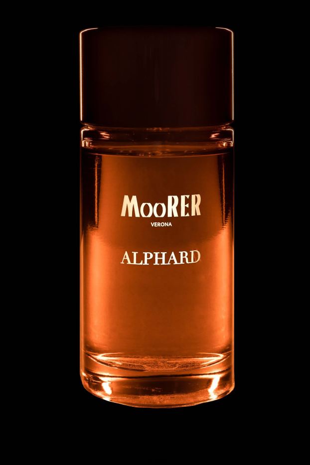 MooRER parfum alphard neutru bărbați accesorii V6JLR237